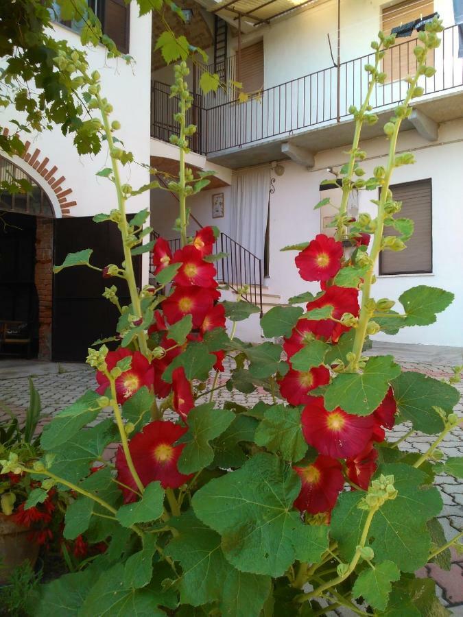 Casa Aromi Ed Arte Guest House Asti Ngoại thất bức ảnh